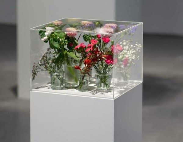 “Pollen” at the CAPC in Bordeaux: the ecological exhibition redefining art