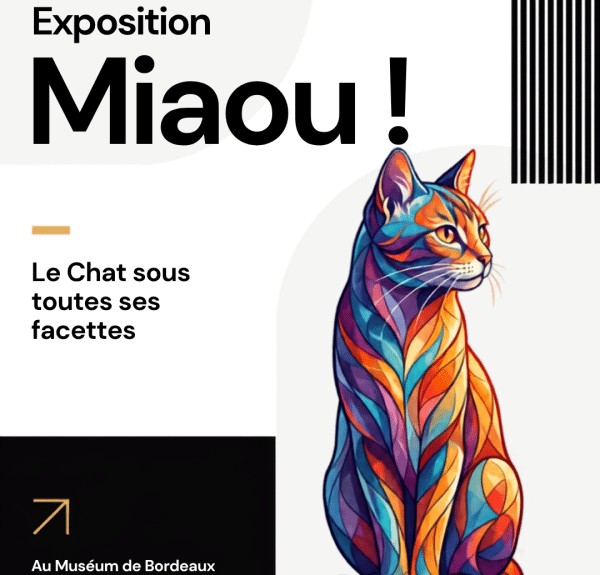 The “Miaou!” Exhibition at the Muséum de Bordeaux: What to Know Before You Go